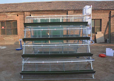Steel Battery Type Breeding Cages Poultry Farming Equipment With Trough