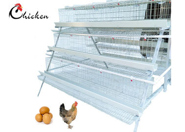 Galvanized Poultry Farm Layer Cage For Bangladesh Auto Drinker System