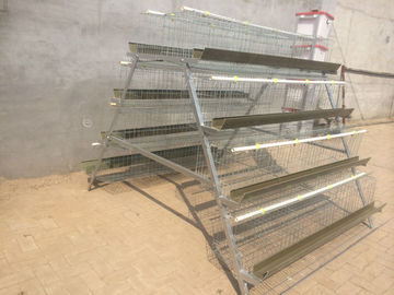A Type 128 Capacity Dimension Chicken Layer Cage Galvanized Q235 Material