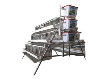 160 Birds A Type Poultry Chicken Cages For Poultry Farming Laying Hens