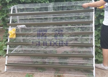 A Type Mesh Layer Quail Bird Cage Of Low Carbon Steel Wire With Sand Cup