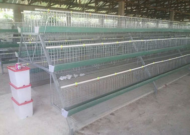 Popular Chicken Egg Layer Cage , Battery Cage System For Battery Chicken