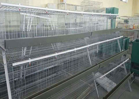 Q 235 Poultry Farming Egg 96 Birds	 H Type Chicken Cage