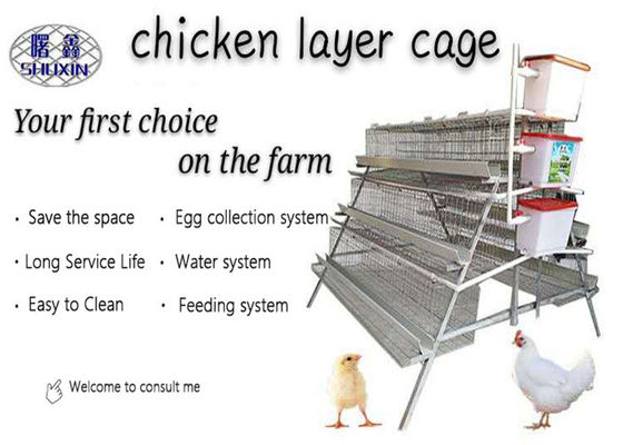 H Type 4 Tiers 128 Capacity Broiler Cage