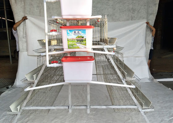 Automatic Drinker Broiler Chicken Cages Multi Functional And Practical