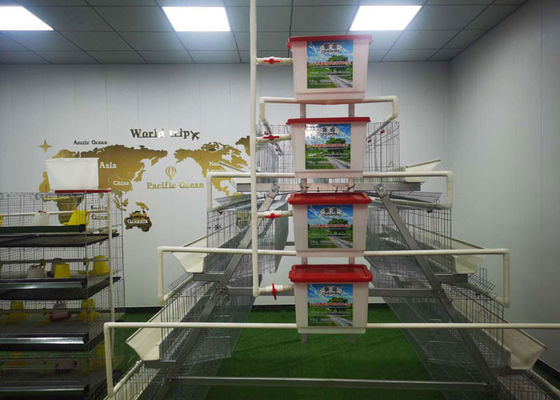 Automatic System Poultry Farming Cage 4 Layers 128 Birds Capacity