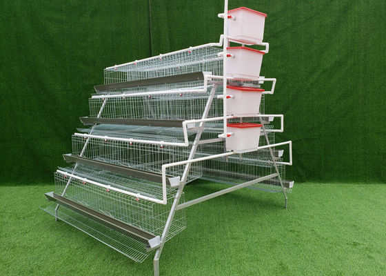 A Type Galvanized Poultry Battery Cages Animal Husbandry Equipment