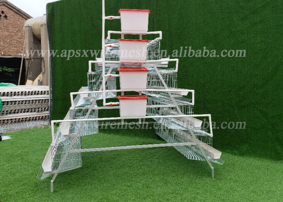 Galvanized Automatic A Type Poultry Battery Cage For Farm Equipment