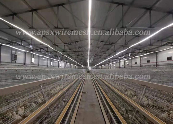 Poultry Farm Equipment A Type Q235 Layer Chicken Cage 4 Tiers