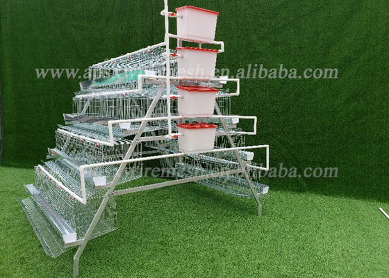 Galvanised 24 Cells Poultry Chicken Cages Automatic Water System