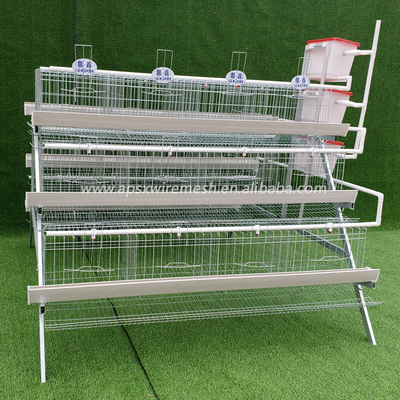 96 Birds Galvanized Wire Layer Chicken Steel Cage Automatic In Poultry Farm