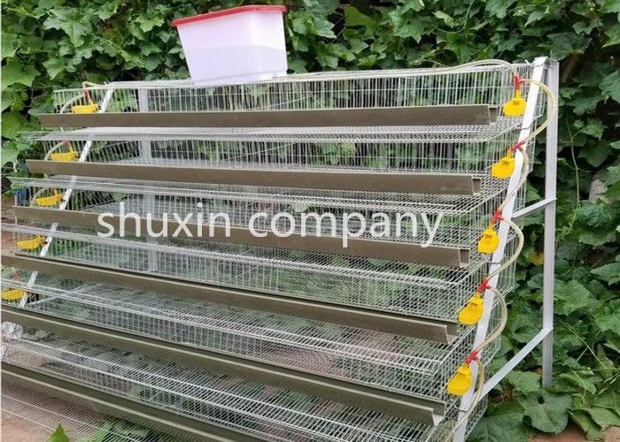 A Type Galvanized Steel Automatic Quail Birds Cages , Quail Breeding Cages 6 Tiers