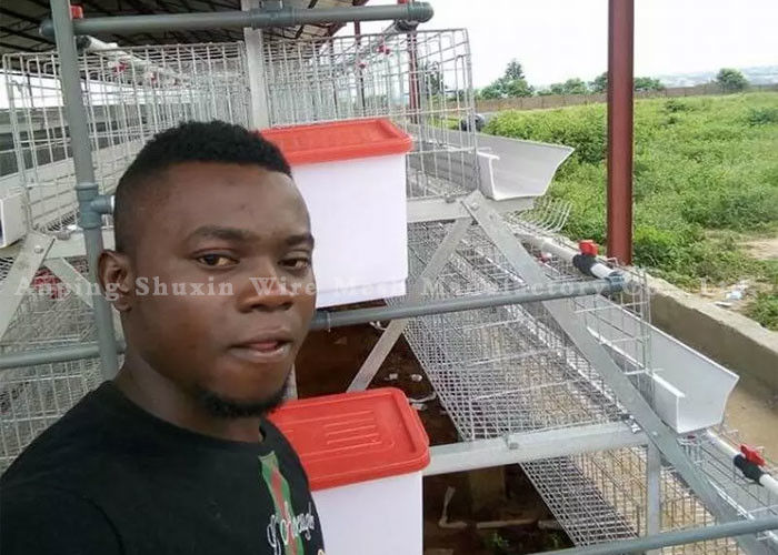 Zinc Plating Animal 120 Chicken Layer Poultry Cage