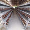 Poultry Farm 5 Tiers Layer Chicken Cage 250 Birds Animal Battery