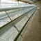 Q235 Layer Poultry Cage Automatic A Type Galvanized