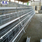 H Type Battery Layer Chicken Cage Automatic Egg Poultry Farms