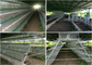 160 Chickens Automatic Feeding Farm Poultry Laying Hens Cage