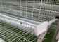 96/120/128/160 Chickens Customizable Poultry laying hens cages for Farm