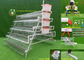 Nipple Drinking Q235 Galvanized Poultry Chicken Cage Laying Hen Cages
