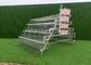 3 Tiers And 4tiers Layer Chicken Cage Automatic Poultry Cage High Durability
