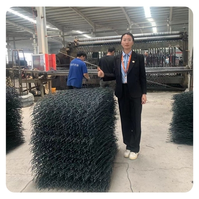 2.7mm Galvanized Wire Gabion Fence Baskets Double Twist