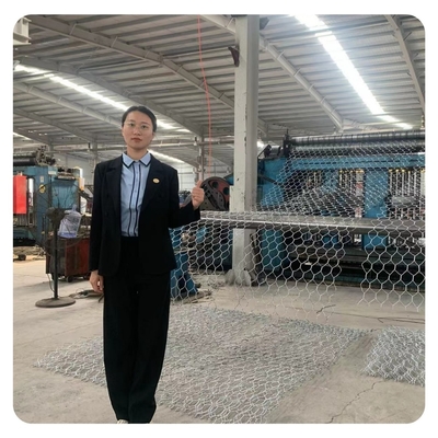 Hot Dipped Galvanized Material Gabion Stone Cage Easy Install