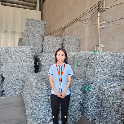 2*1*1 M Pvc Coated Gabion Baskets Hexagonal Cages Erosion Resistant