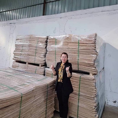 Long Life UV Resistant Geotextile Material Hesco Barrier Wall Bastion Miliraty Barrier Basket Fence Sand Container Bag