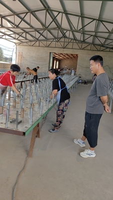 Sale Tank Barrier Winding Net Track Protection Net Low-visibility Wire Mesh Net