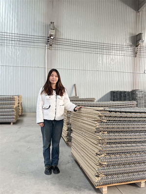 20 Cells Protective Wall Hesco Army Wire Tensile 500-800mpa