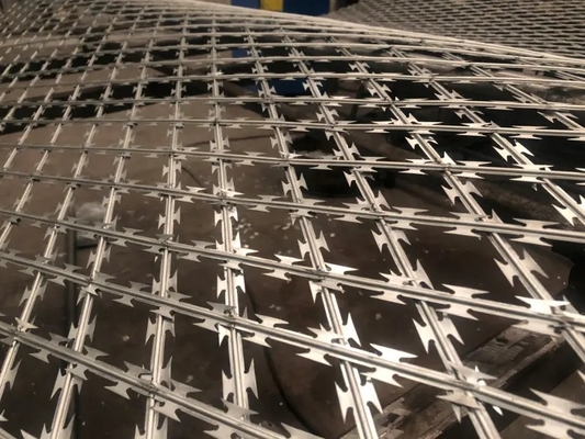 Hot Dipped Galvanized Razor Barbed Wire for Protective Isolation