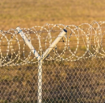 500 M Barbed Galvanised Razor Wire Anti Climb Bird Protective