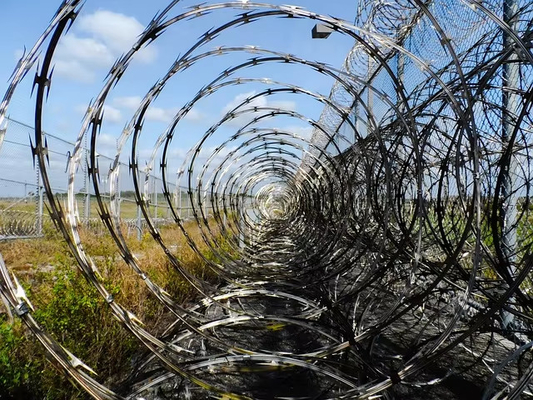 Galvanized Security Fencing Concertina Price Anti Climb Blade Barbed Wire Prison Razor Barbed Wire
