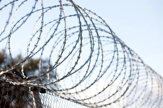 Hot Dipped Galvanized Razor Barbed Wire for Protective Isolation