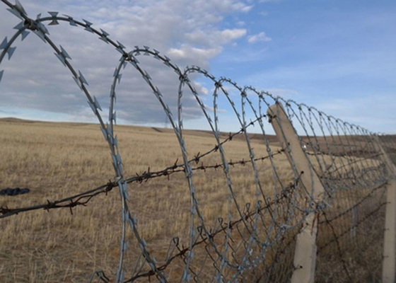 Easy to Construct Razor Barbed Wire with Good Deterrence Effect