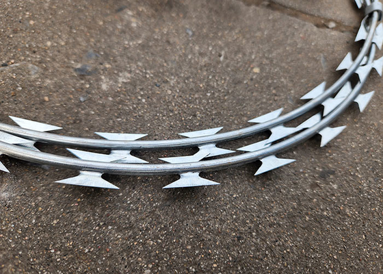 Hot-Dipped Galvanised Razor Barbed Wire with Crossed Loop for High Protection