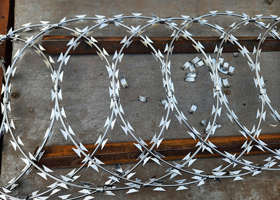 Strong Defensive Galvanized Razor barbed wire Roll for Secure Boundaries