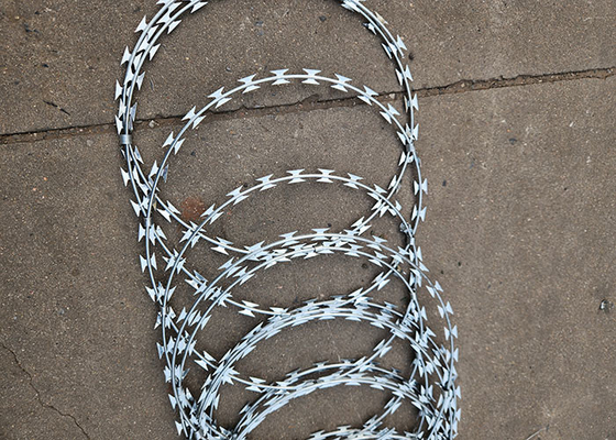 Farm Galvanized Safety  Razor Barbed Wire Roll Pasture Barbed Wire Coil