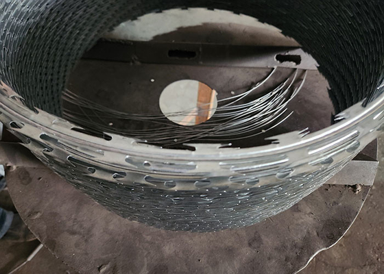 Double Twisted Galvanized Steel PVC Coated Razor Fencing Wire Wall Spike Directly Sourced