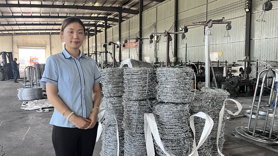 Hot Dipped Galvanized Fencing High Tensile Barbed Wire 1.6Mm 300M