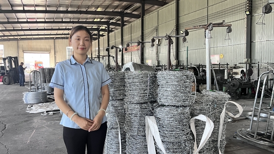Factory Hot Dipped Galvanized Barbed Wire For Mesh Security Fencing 12.5 Gauge 18 Gauge PVC Coated Iron Barbed Wire