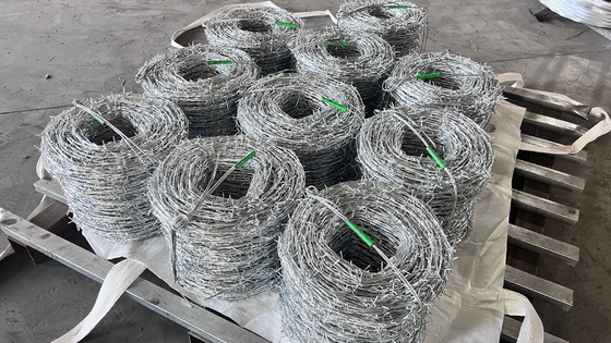 KN Hot Selling Fencing Barbed Wire Electro Galvanized Barbed Wire