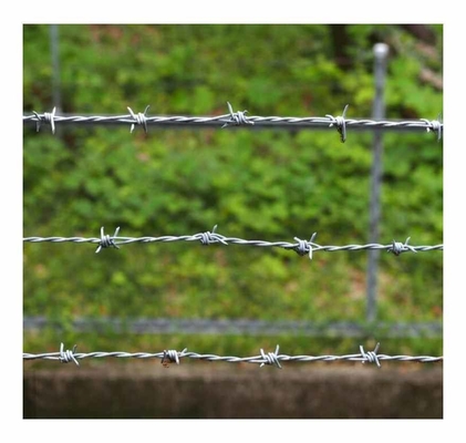 KN Hot Selling Fencing Barbed Wire Electro Galvanized Barbed Wire