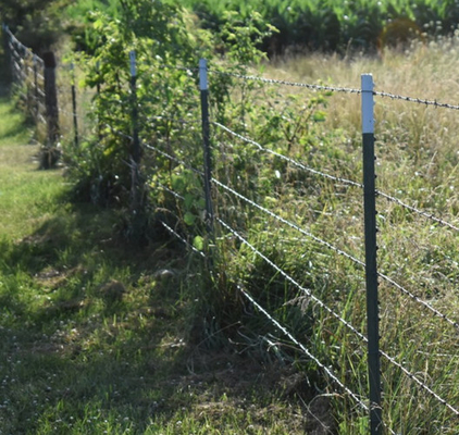 Wholesale High Tensile Twist Galvanized Barbed Wire 14gauge with 3or 4inch barb distance