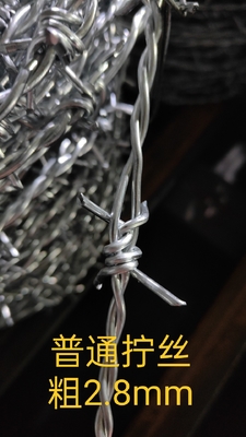 High Quality Manufacturer South America Market Galvanized Double Twisted Barbed Wire