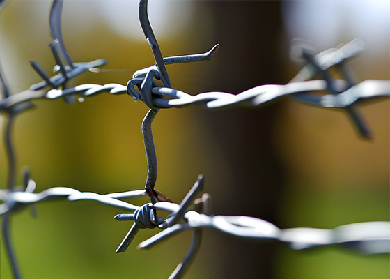 Use Of Prison Walls Double Strand Traditional Twist Barbed Wire Fence