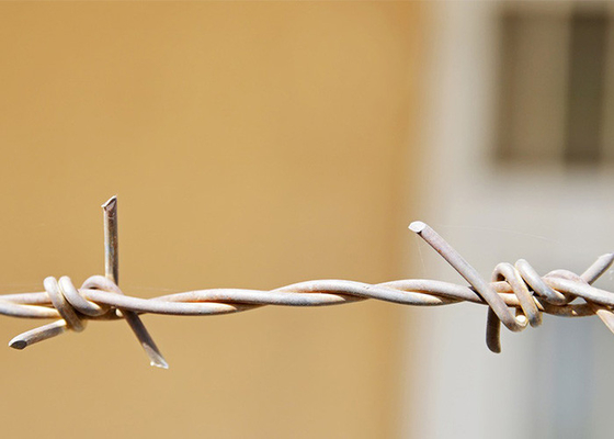 Use Of Prison Walls Double Twisted Hot Dipped Galvanized Barbed Wire Coils