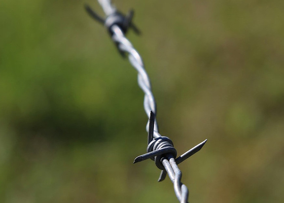 Use Of Prison Walls Anti Climb Single Strand PVC Coated Iron Barbed Wire