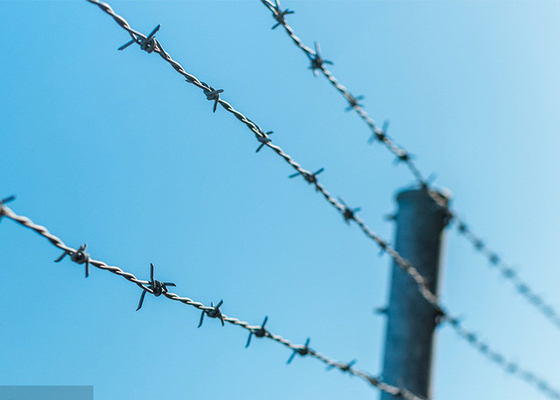 Use Of Prison Walls Anti Climb Single Strand PVC Coated Iron Barbed Wire