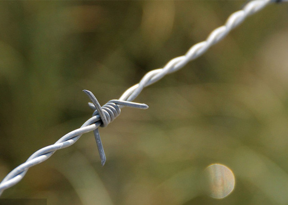Use Of Prison Walls Anti Climb Galvanized Barbed Wire Roll